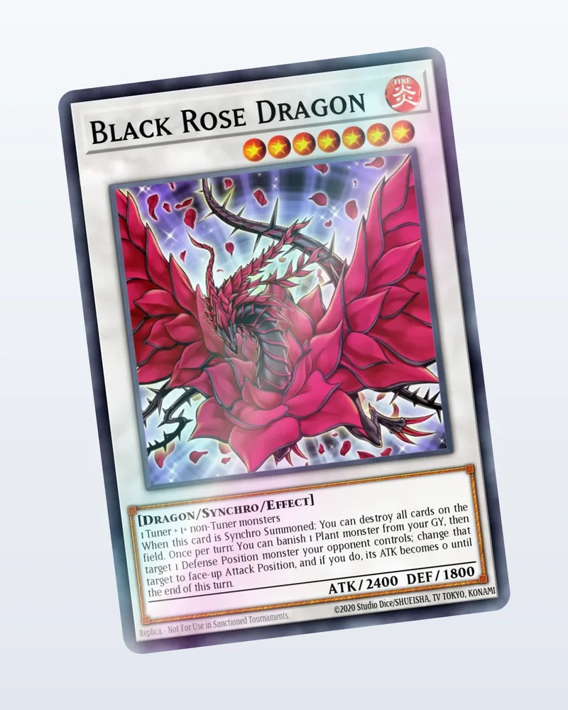 Black Rose Dragon – holo valossa