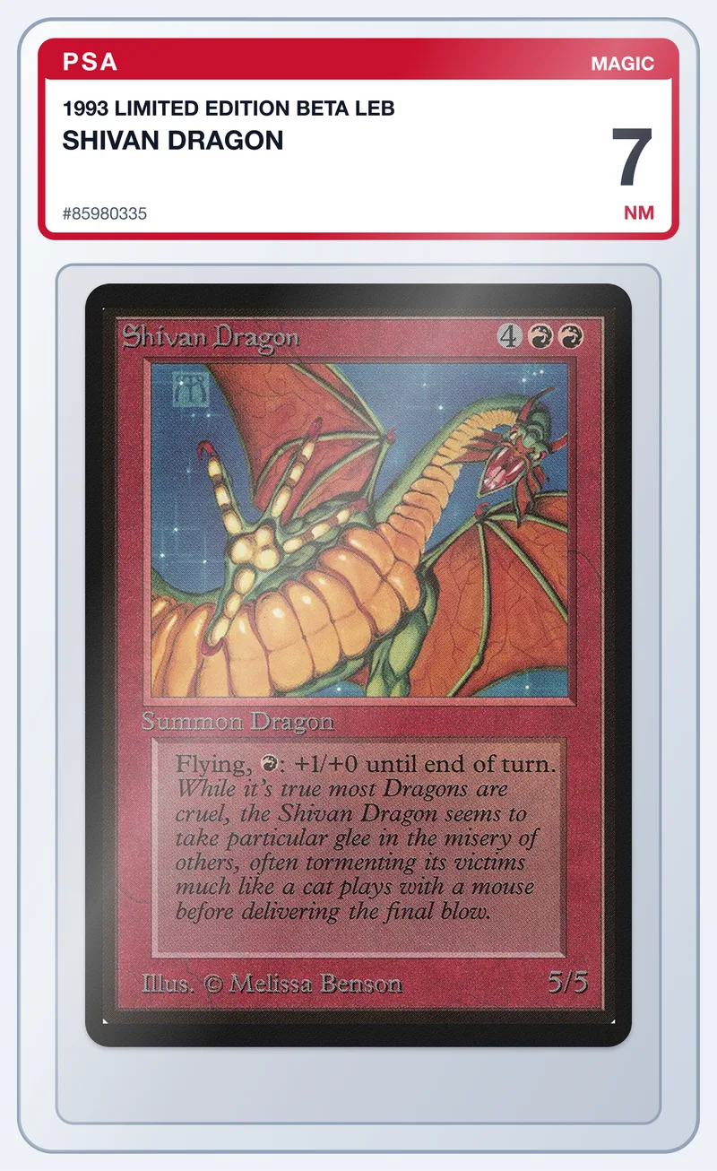 Shivan Dragon (Beta) – PSA 7 – slab edestä